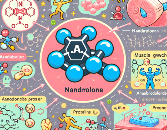 Nandrolone: an introduction to its anabolic action